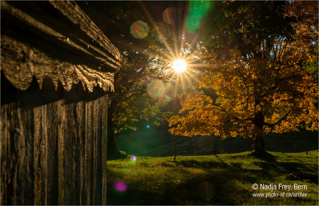 Sonnenaufgang auf dem Schallenberg in der goldenen Herbstzeit