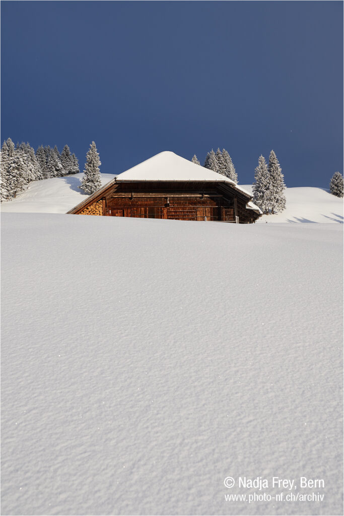 Gantrisch Alphütte im Schnee