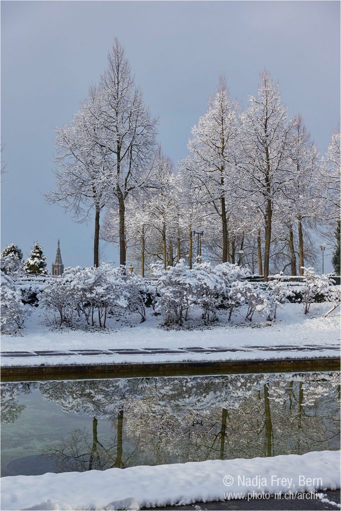 Rosengarten im Winter mit Sicht auf den Rosengartenpark und das Münster.
