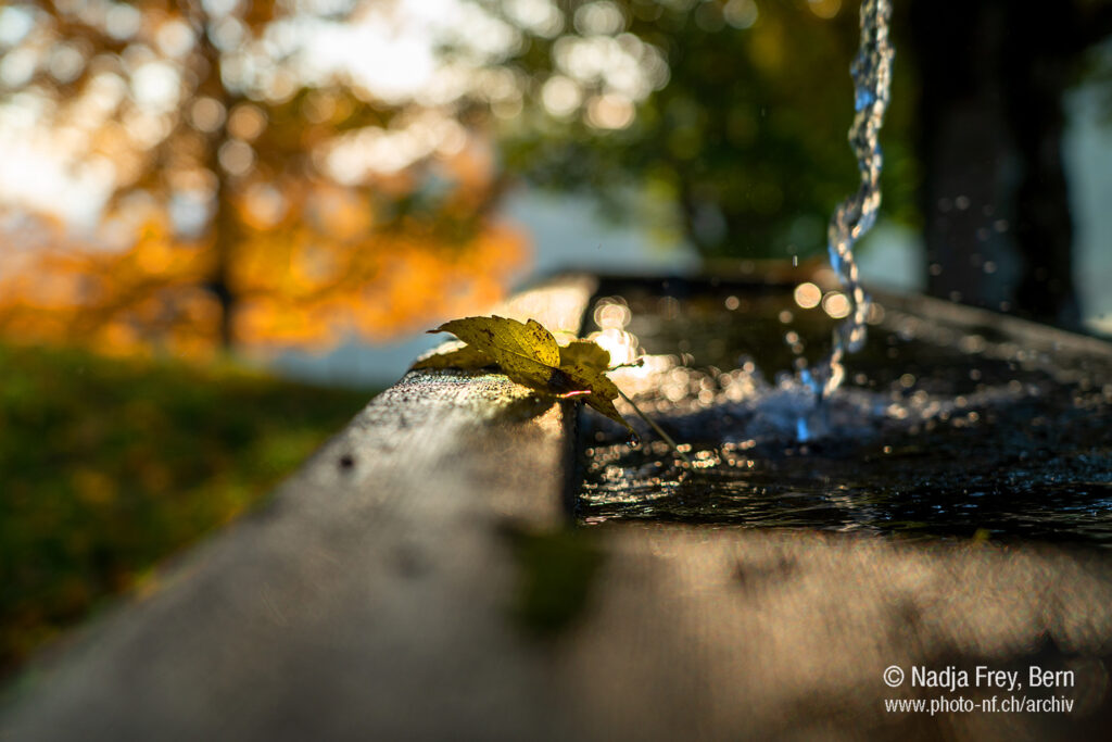 Der Brunnen plätschert in der Herbstzeit