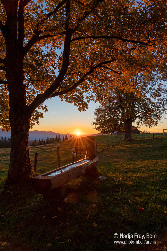 Sonnenuntergang im goldenen Herbst auf der Alp Schynegg