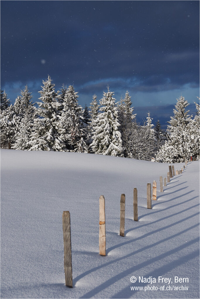 Märchenhafte Schneelandschaft im  Selibüel Gurnigel