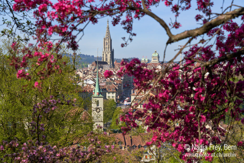 Stadt Bern im Frühling Blick vom Rosengarten
