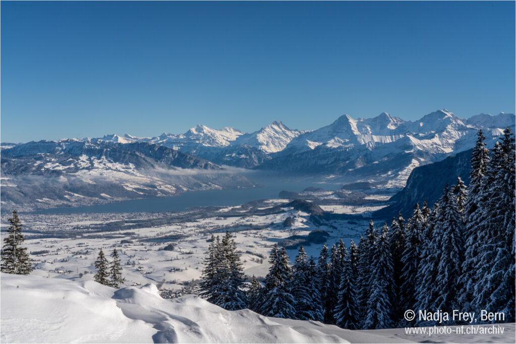 Panorama Blick auf die Schneeberge und dem Thunersee